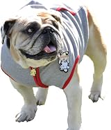 Dog Hoodie, Gray Bulldog Small