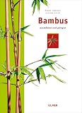 Bambus