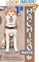 Hachiko Waits