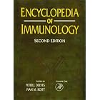 Encyclopedia of Immunology (4-Volume Set) by  Ivan M. Roitt and Peter J. Delves