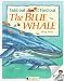 The Blue Whale (Fold Out..Find Out)