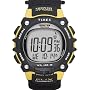 Timex Ironman Triathlon 100-Lap Resin Strap Watch #T5F591
