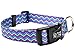 DoggyRide Fashion Dog Collar, 20 by 25-Inch, Heightened Hyacinth, Blue/Lime
