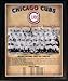 1945 Chicago Cubs National League Champions 11