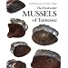 Freshwater Mussels Tennessee