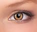 Farbige Kontaktlinsen & Color Contact lenses Braun / Honey 1 Paar (2 Stück) incl. 60ml Pflegemittel und Behälter!