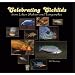 Rift Lake Cichlids Rule!