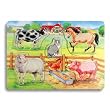 Animal Touch & See Wooden Jigsaw Puzzle