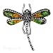 Jewelry : Pugster Dragonfly Brooches