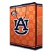 NCAA Auburn Tigers Gift Bag, Large