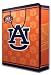Auburn University Team Logo Gift Bag (Large)