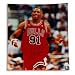 Dennis Rodman Autographed/Hand Signed Chicago Bulls 16x20 Photo