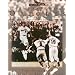 The Baltimore Orioles: Four Decades of Magic from 33rd Street to Camden Yards