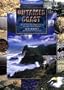 Untamed Coast: Auckland's Waitakere Ranges and West Coast Beaches