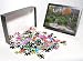 Photo Jigsaw Puzzle of Sanzen-in Temple, from Danita Delimont
