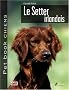 Le setter irlandais