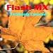 FlashMX Training Course