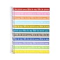 Erin Condren My Life Stripe 2010 Planner