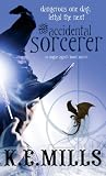 The Accidental Sorcerer: Rogue Agent: Book One (Rogue Agent 1)