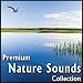 Premium Nature Sounds Collection: Sounds of Nature for Sleeping & Relaxing