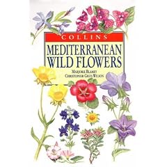 Collins Mediterranean Wild Flowers (Natural History)