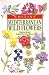 Mediterranean Wild Flowers