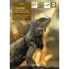 L'iguane