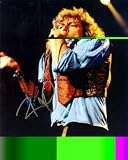 Robert Plant Led Zeppelin Autographed Signed reprint Photo