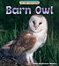 Barn Owl 