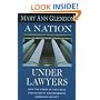A Nation under Lawyers