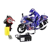 1:10 Scale Full Function Motor Tracer RC Motorcycle with Rechargeable batteries and... 
