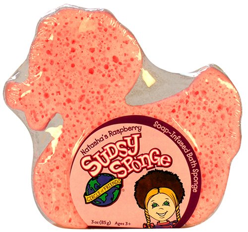 Circle of Friends Sudsy Sponge, 3 oz.