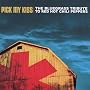 The Bluegrass Tribute To The Red Hot Chili Peppers: Pick My Kiss