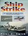 Ship Strike: The History of Air to Sea Weapon Systems