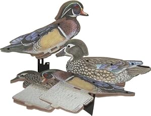 Wood Duck 6 Pak Kit Duck Decoys Duck
