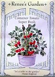 Tomato Super Bush Seeds 30 Seeds