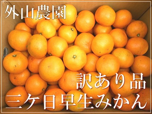静岡県三ヶ日産みかん◆早生みかん 訳あり(外山農園)◆10kg≪産地直送≫