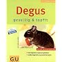 Degus - gesellig & topfit