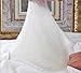 Soft Silker Silk Comforter 100% All Natural National Standard Long Mulberry Silk Duvet Queen (Most Wished &Gift Ideas)