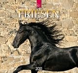 Friesen 2011