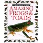 Amazing Frogs and Toads (Eyewitness Junior)