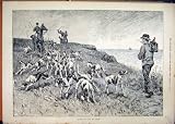 1883 DOGS HOUNDS HORSES EXERCISING SEA COAST PRINT