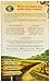 Nature's Path Organic Gluten-Free Cereal, Crunchy Honey Sunrise, 10.6 Ounce