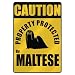 maltese7  - CAUTION PROPERTY PROTECTED BY MALTESE PARKING SIGN DOG