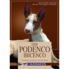 Der Podenco Ibicenco: Verstehen, erziehen, mit ihm leben