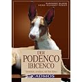 Der Podenco Ibicenco: Verstehen, erziehen, mit ihm leben