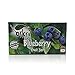 Oskri Blueberry 100% Fruit Bars, No Added Sugar - Gluten Free, 35g, 21 Pack