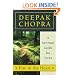 Fire in the Heart: A Spiritual Guide for Teens (Chopra, Deepak)