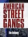 American Street Gangs by Tim Delaney ISBN 0131710796