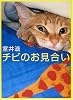 チビのお見合い